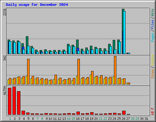 Daily usage for December 2024