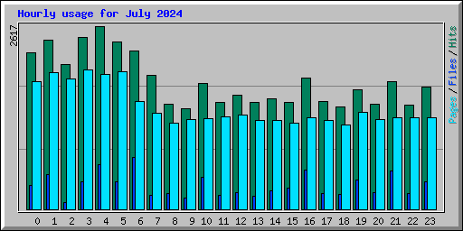 Hourly usage for July 2024