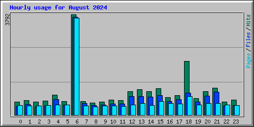 Hourly usage for August 2024