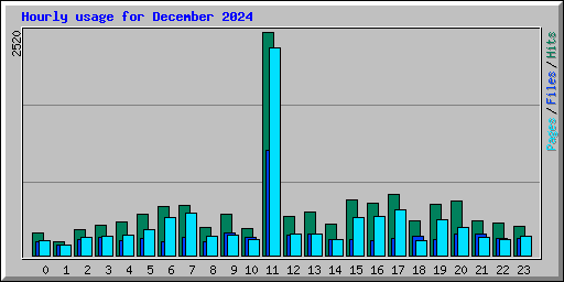 Hourly usage for December 2024