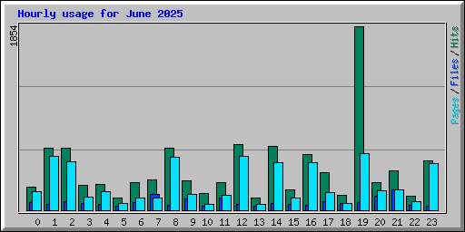 Hourly usage for June 2025