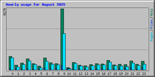 Hourly usage for August 2025