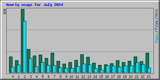 Hourly usage for July 2024