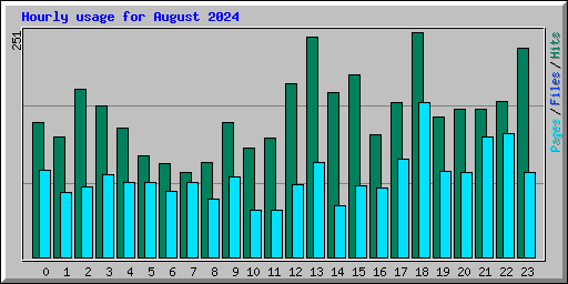 Hourly usage for August 2024