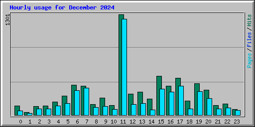 Hourly usage for December 2024