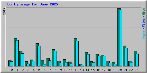 Hourly usage for June 2025
