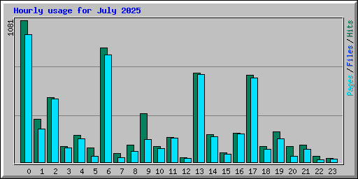 Hourly usage for July 2025